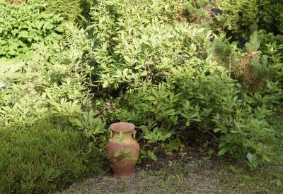image02