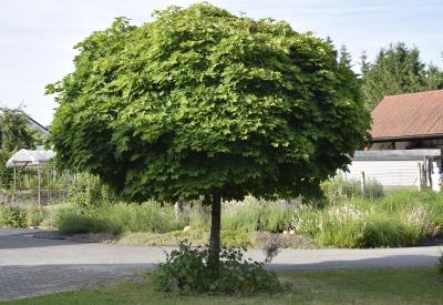 image02