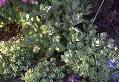 image02