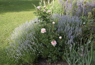 image02