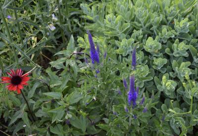 image02