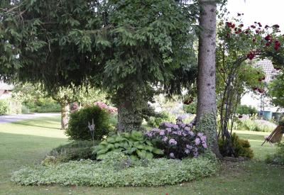 image02