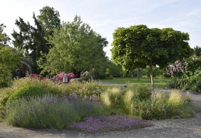 image02