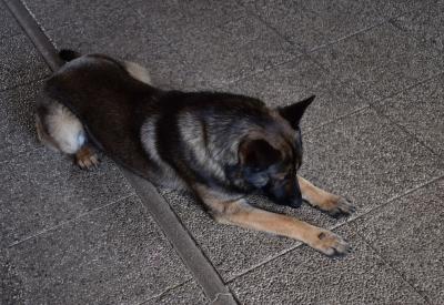 image02