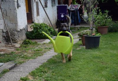 image02