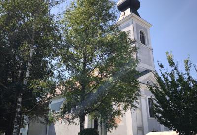 image02