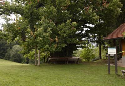 image02