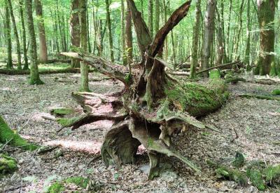 image02