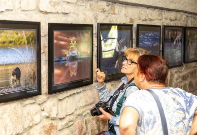 image02