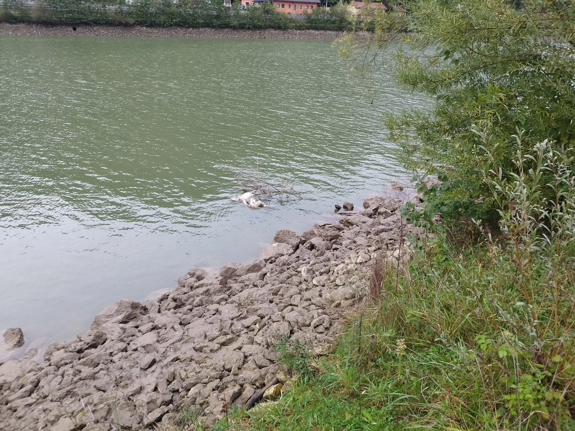 image02