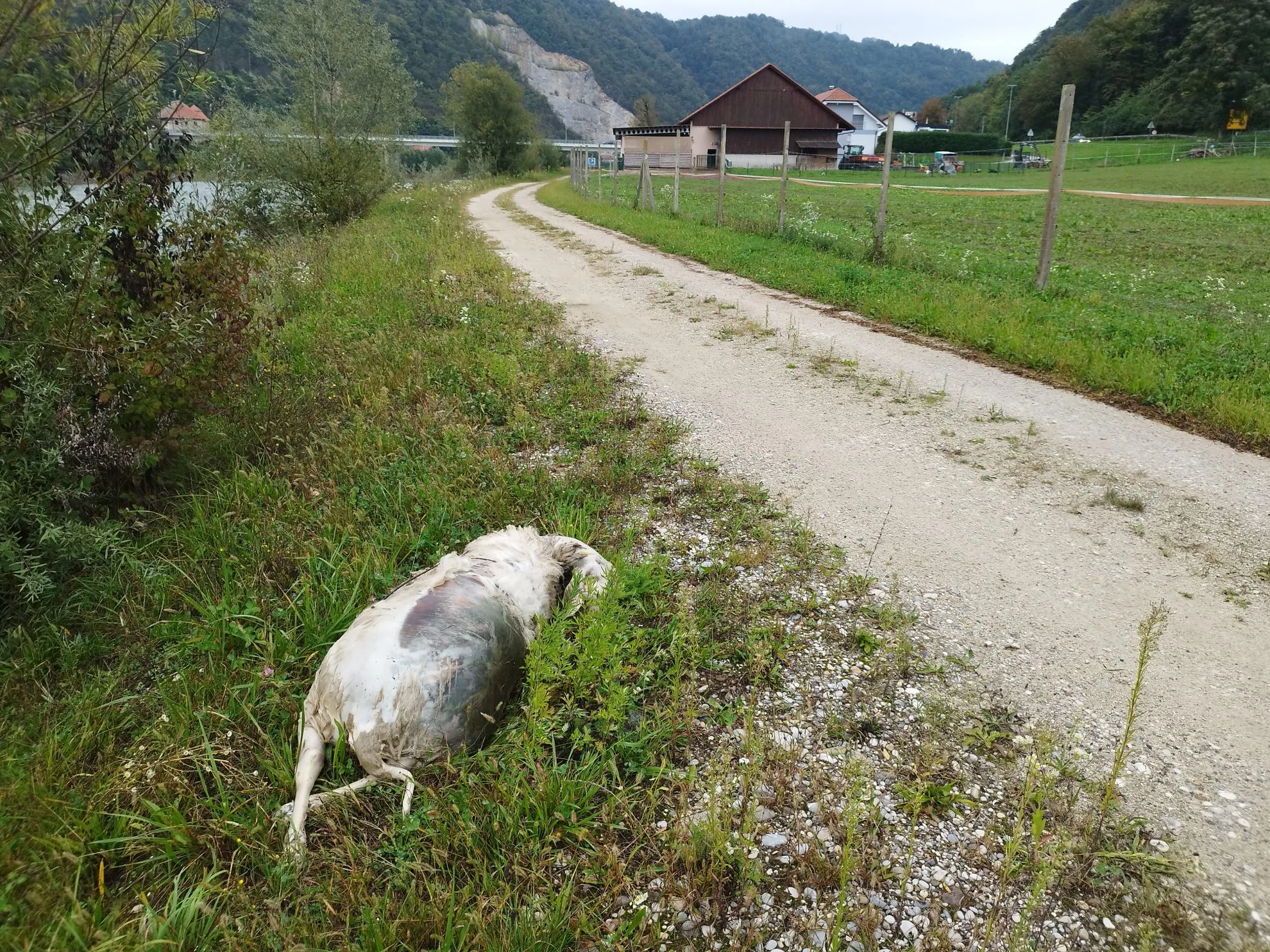 image02