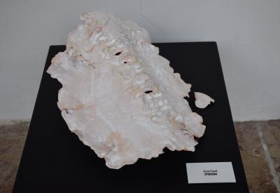 image02