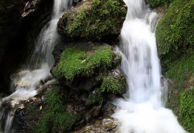 image02