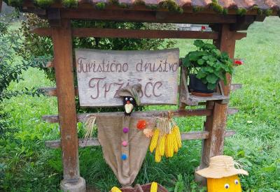 image02