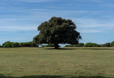 image02