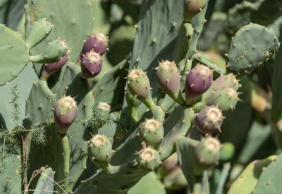 image02