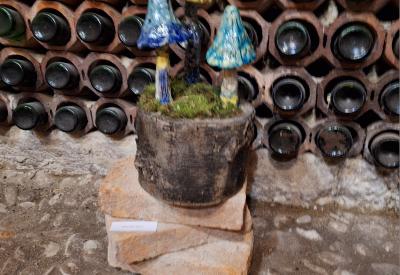 image02