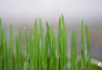 image02