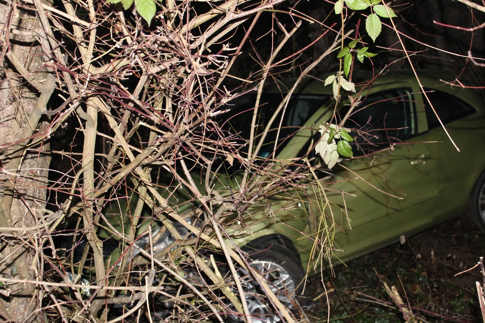 image02