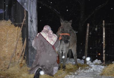 image02