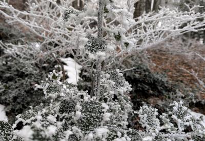 image02