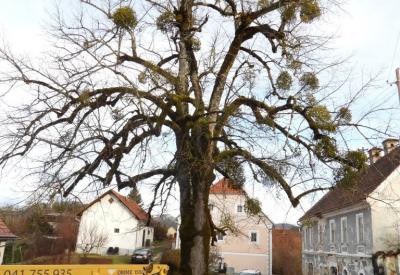 image02
