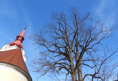 image02