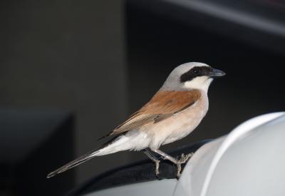 image02