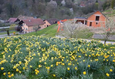 image02