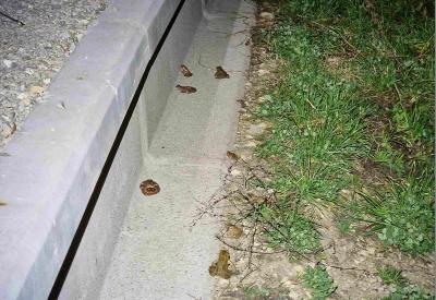 image02