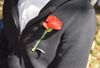 image02