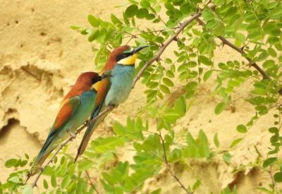 image02