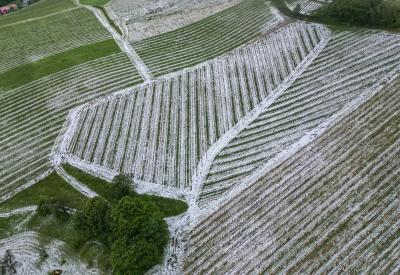 image02