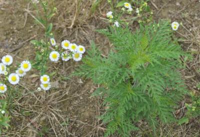 image02