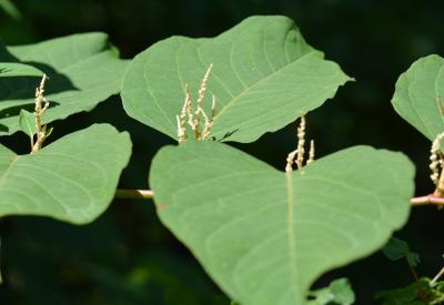 image02