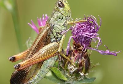 image02