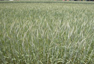 image02