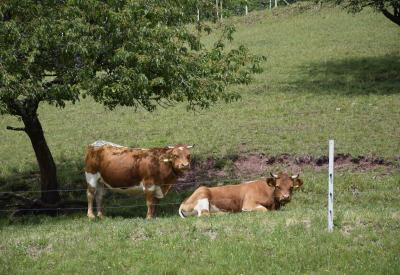 image02