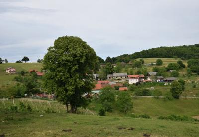image02