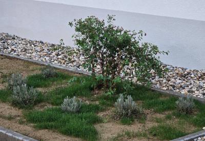 image02