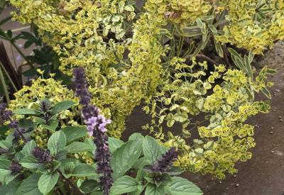 image02