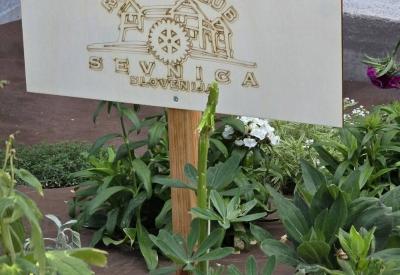 image02