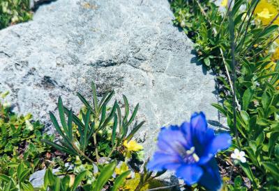 image02