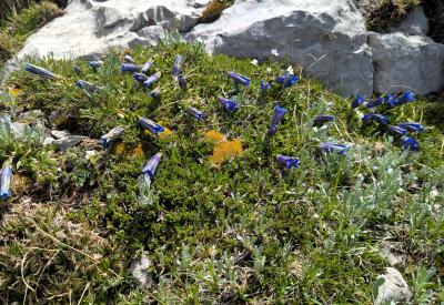 image02
