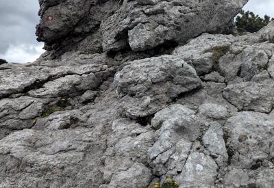 image02