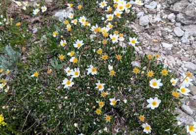 image02