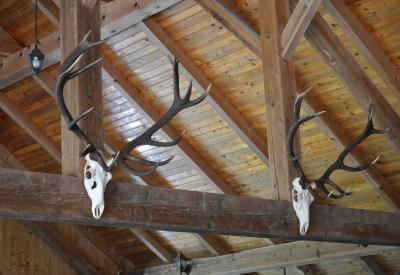 image02