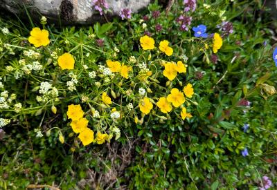 image02