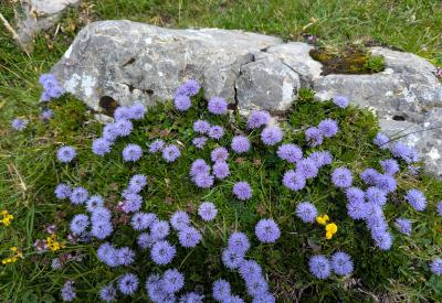 image02