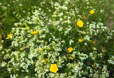 image02